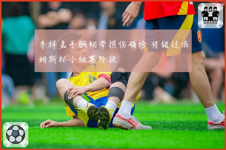 李梓嘉手腕韧带损伤确诊 将错过汤姆斯杯小组赛阶段