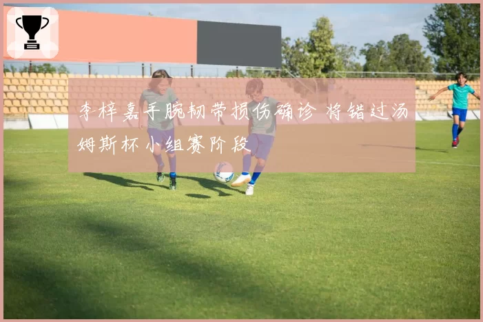 李梓嘉手腕韧带损伤确诊 将错过汤姆斯杯小组赛阶段